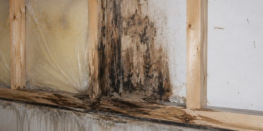 築15年で、家は腐ります