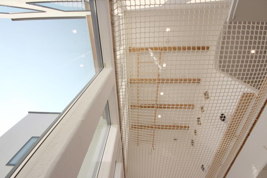 宮崎市｜中庭｜採光｜シンプルモダン｜パッシブデザイン｜光と空気が集まる家 写真