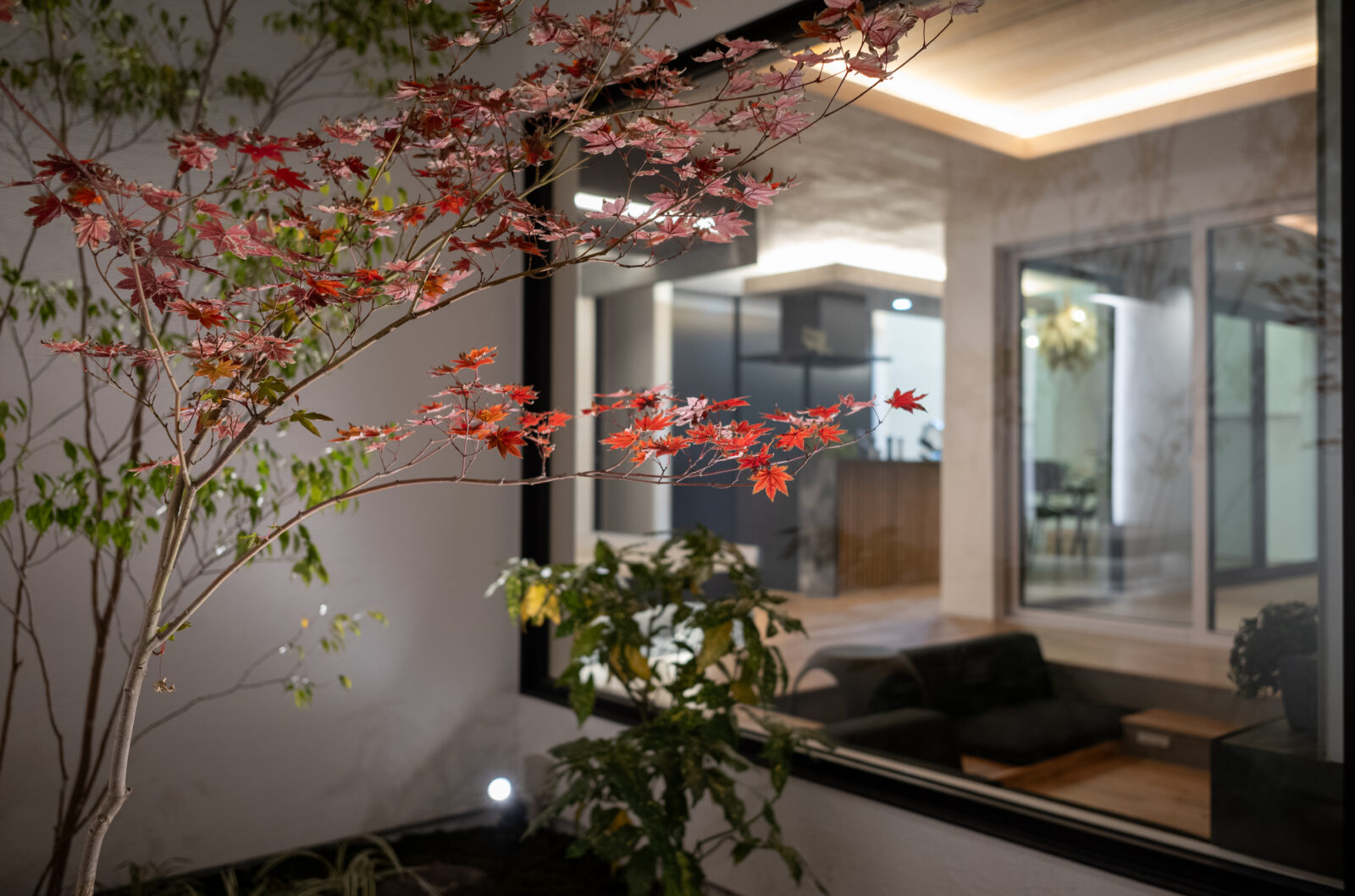 【宮崎の注文住宅】 ガレージハウス｜リビングから愛車を眺める究極の平屋｜70坪の平屋 写真