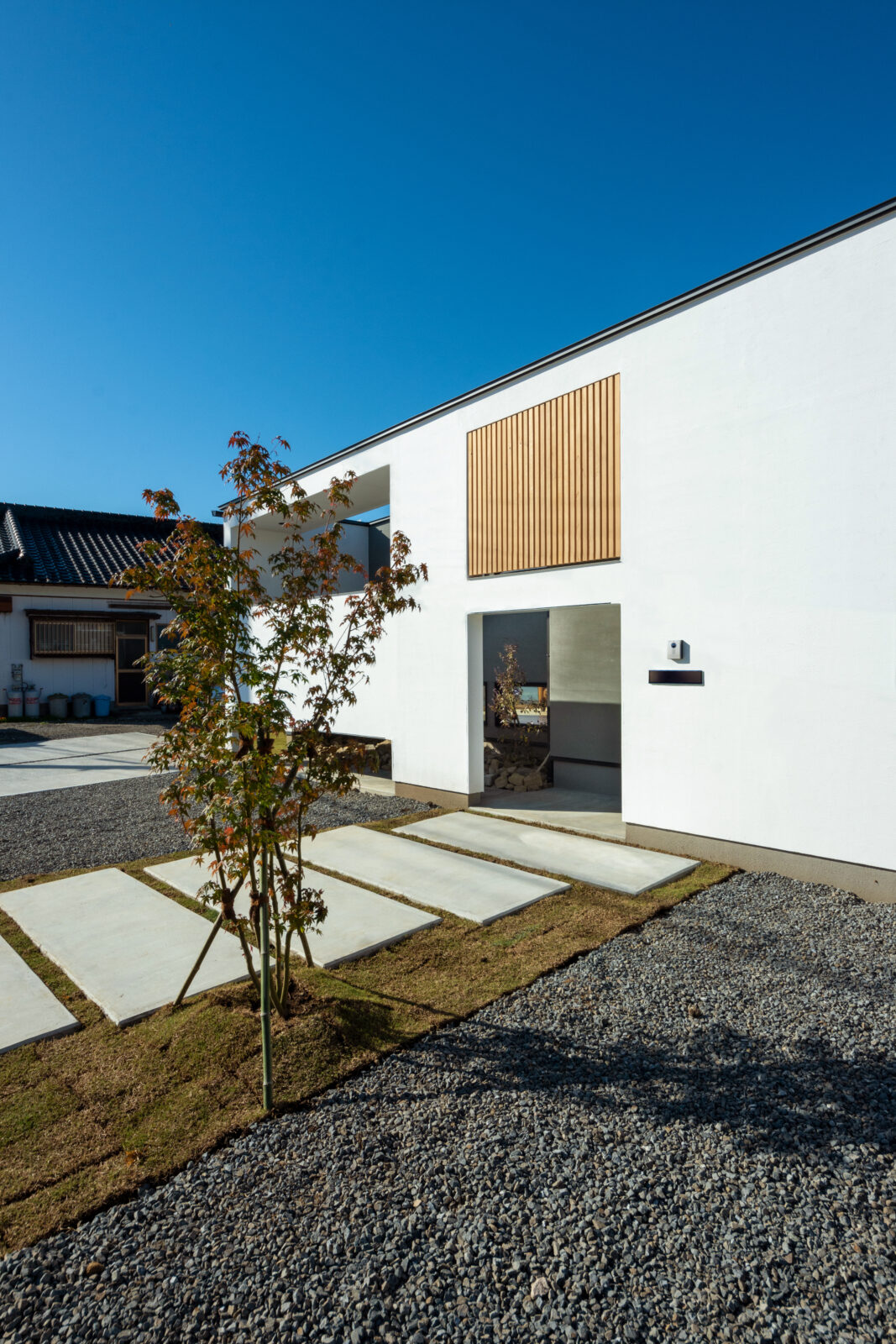 空と緑を切り取る美しい白壁の平屋。光と心地よい余白に包まれて暮らす住まい 写真