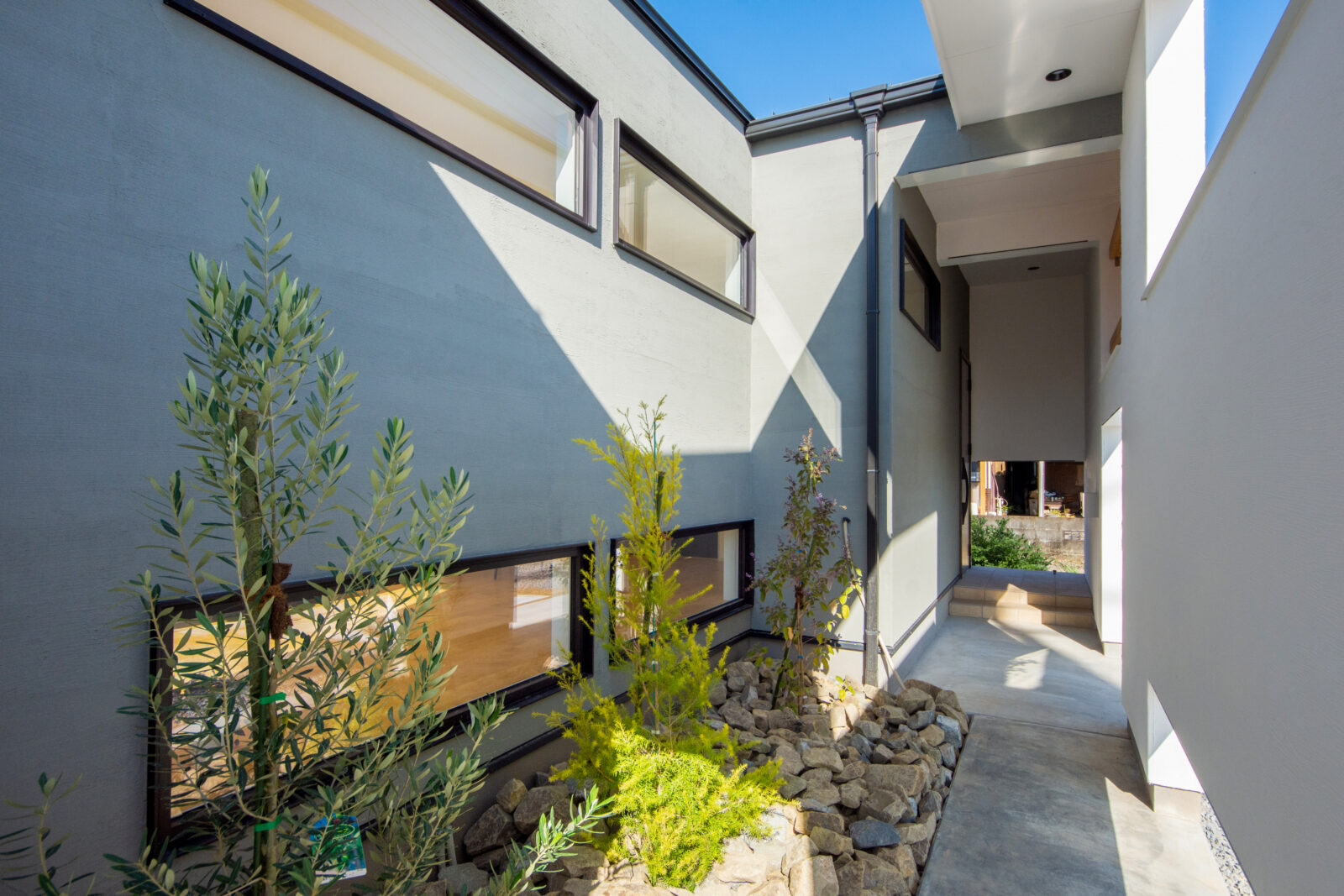 空と緑を切り取る美しい白壁の平屋。光と心地よい余白に包まれて暮らす住まい 写真