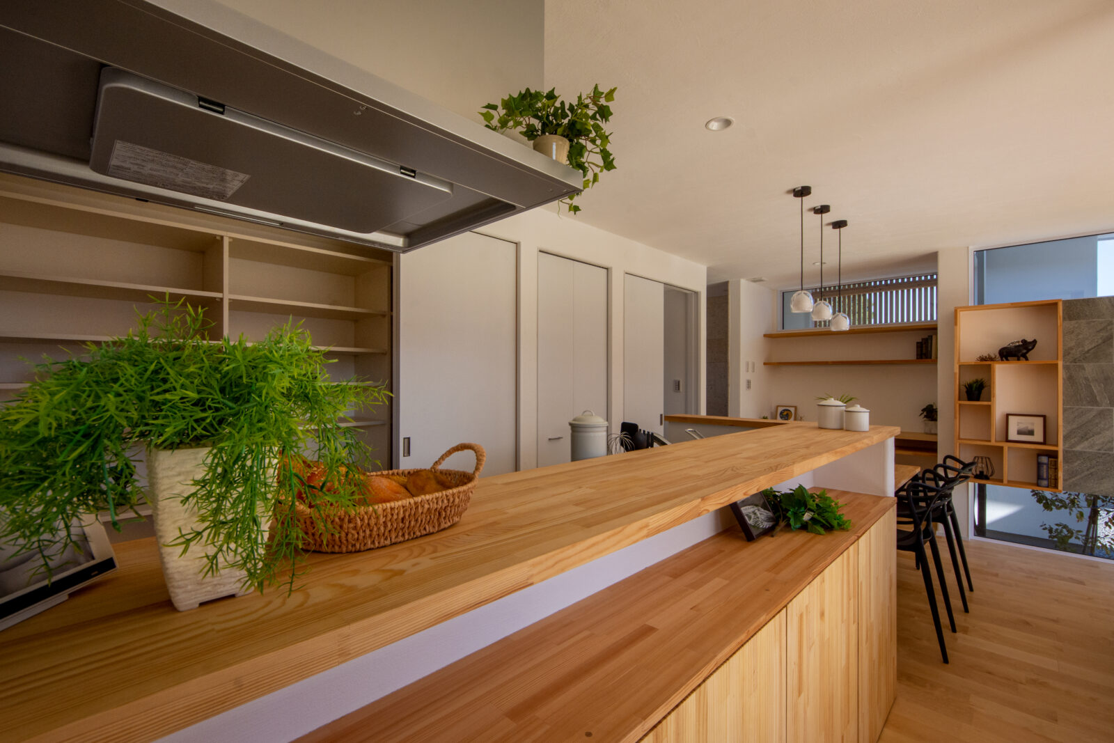 空と緑を切り取る美しい白壁の平屋。光と心地よい余白に包まれて暮らす住まい 写真