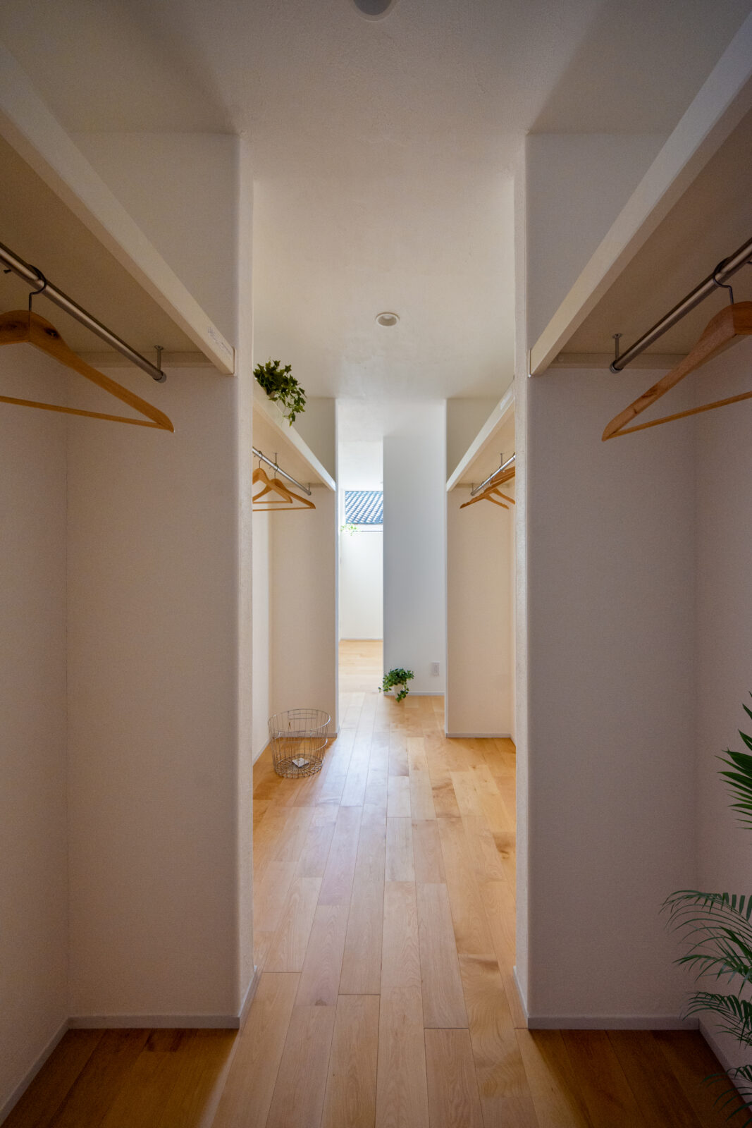 空と緑を切り取る美しい白壁の平屋。光と心地よい余白に包まれて暮らす住まい 写真