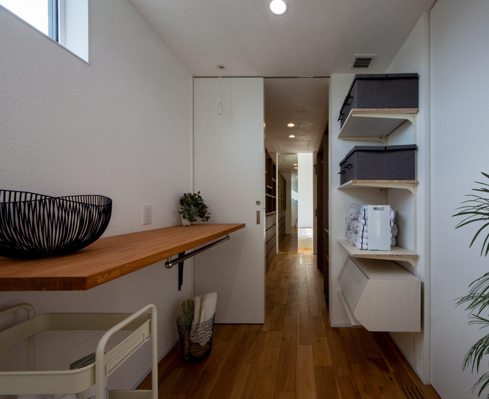 アートと自然が日常に溶け込む、光と影をたのしむ美術館のような住まい 写真