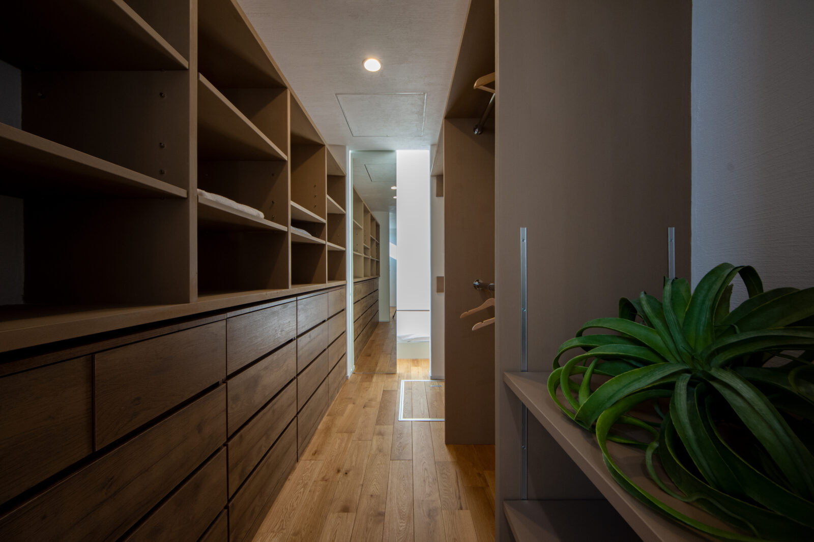 アートと自然が日常に溶け込む、光と影をたのしむ美術館のような住まい 写真