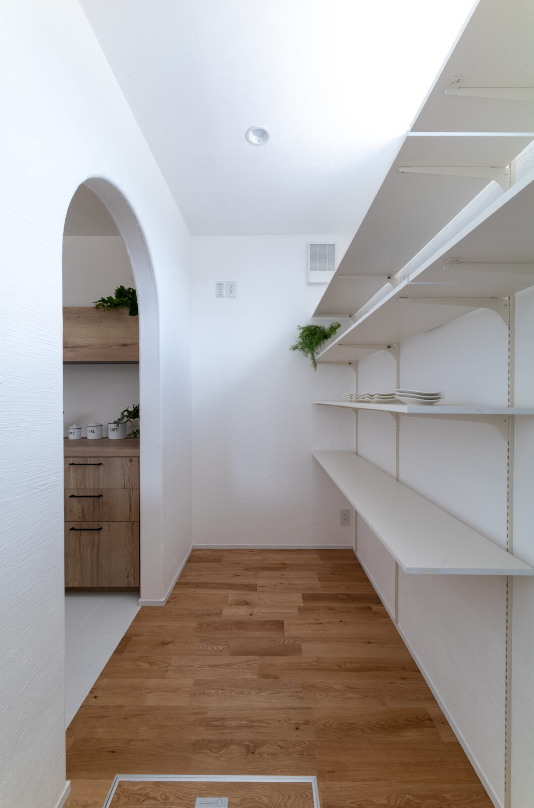 直線と曲線が織りなす美空間。季節の移ろいを味わう中庭のある暮らし 写真