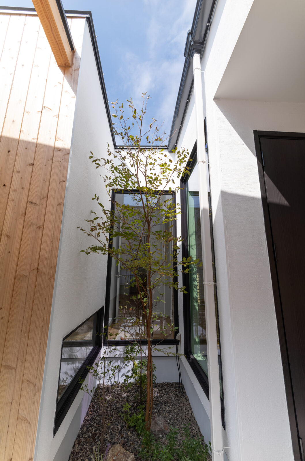 街の喧騒を美しく遮るコートハウス。光と緑に包まれるカーテンレスの平屋 写真