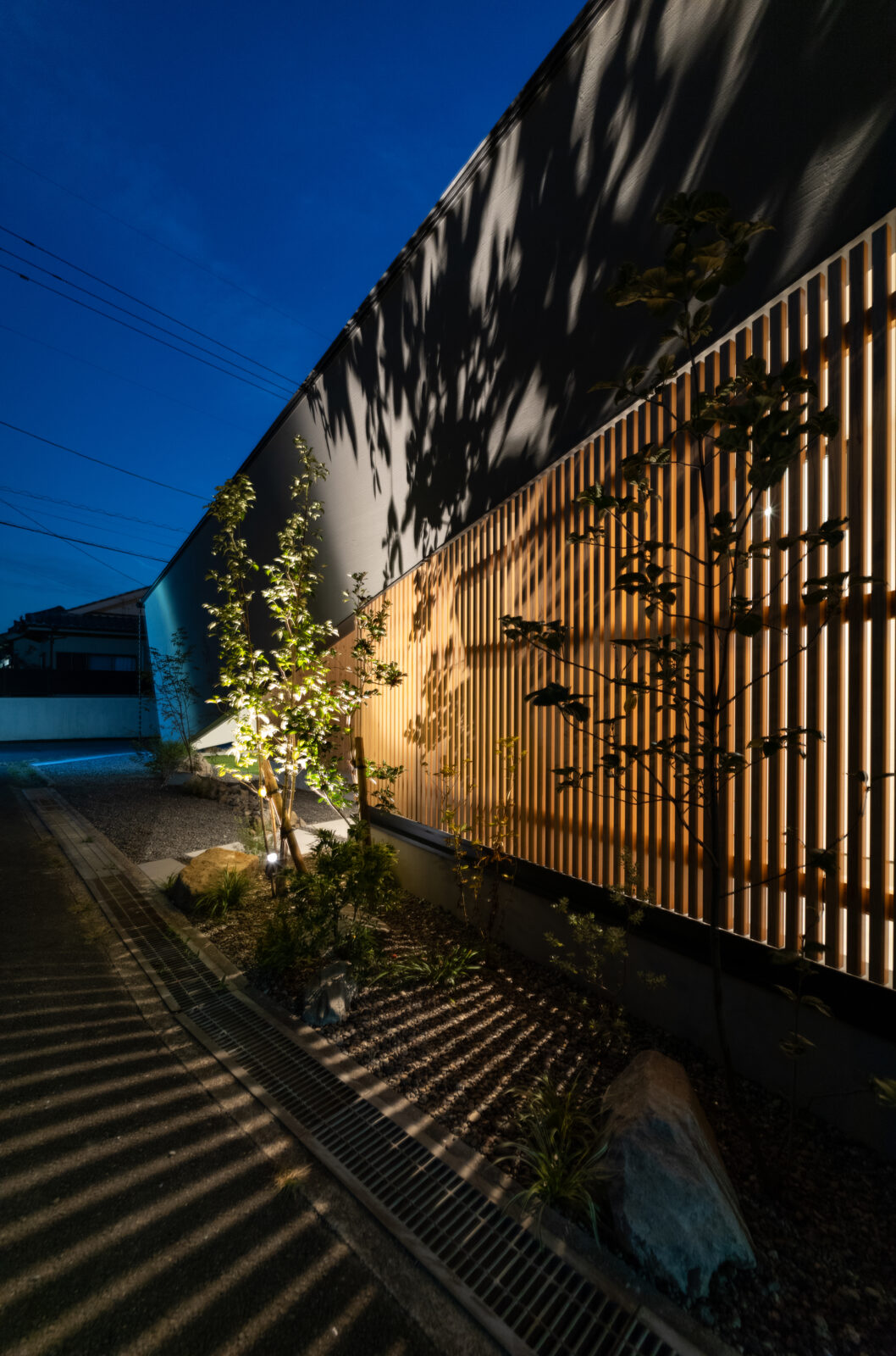 街の喧騒を美しく遮るコートハウス。光と緑に包まれるカーテンレスの平屋 写真