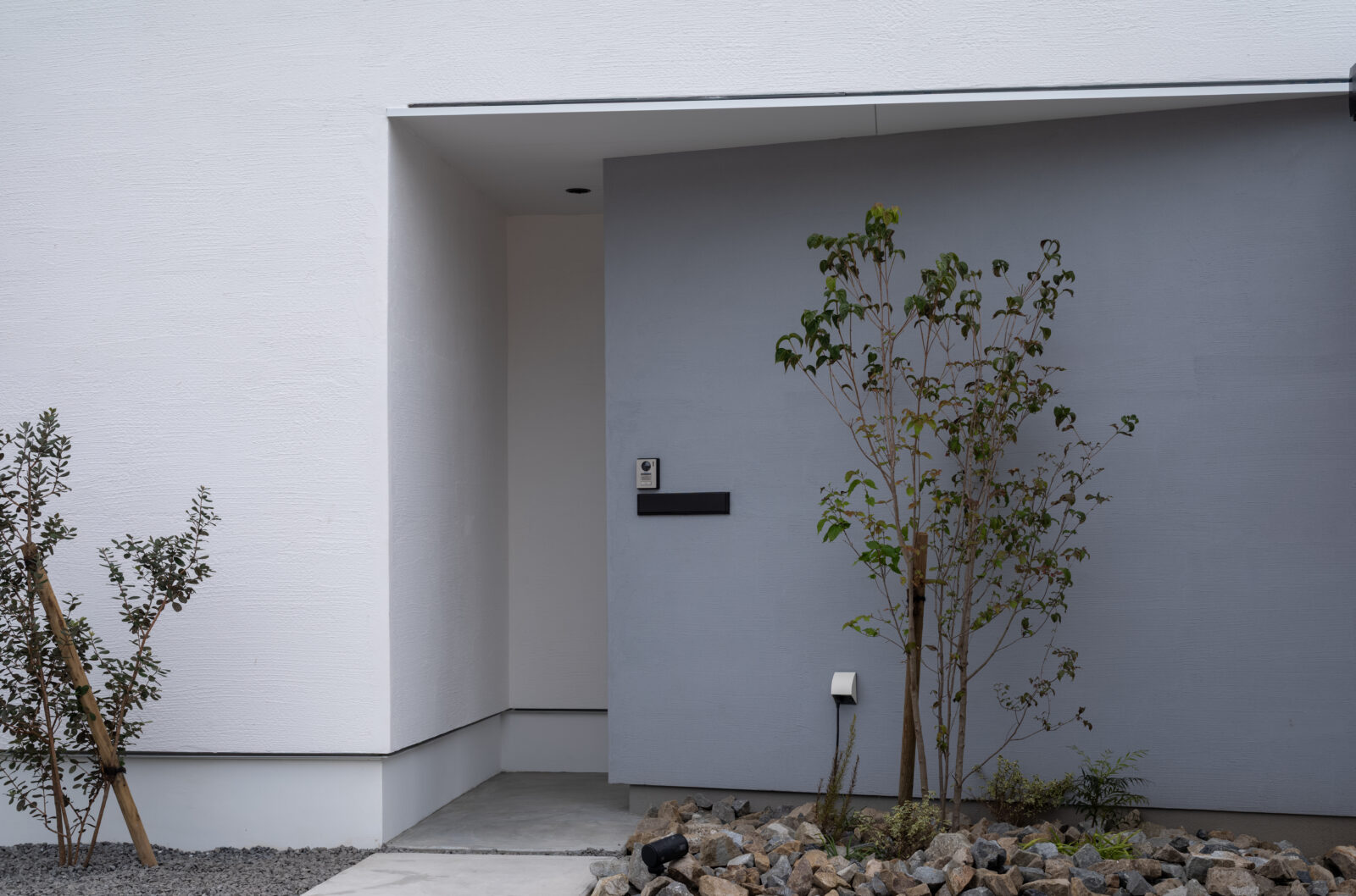 廊下をなくして、家族の空間をもっと豊かに。無駄のない「神動線」でゆったり暮らすミニマルな平屋 写真